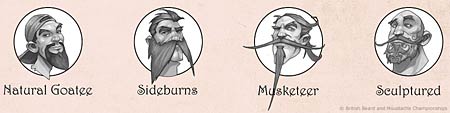 Partial Beard categories